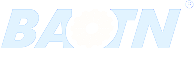 website logo